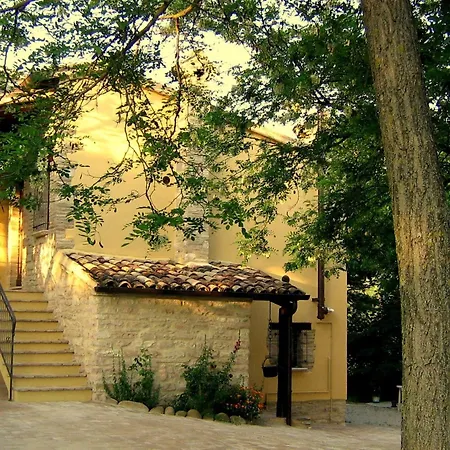 Girasoli In By Interhome Cagli